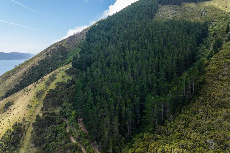 Lot 1 Anakoha Bay Marlborough Sounds_56