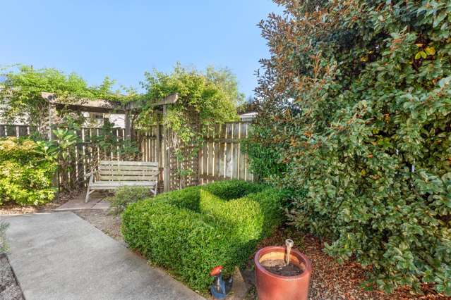 18A Trafalgar Street Levin_3