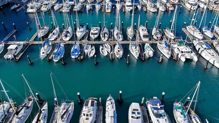 3B/1 Clyde Quay Wharf Te Aro_11