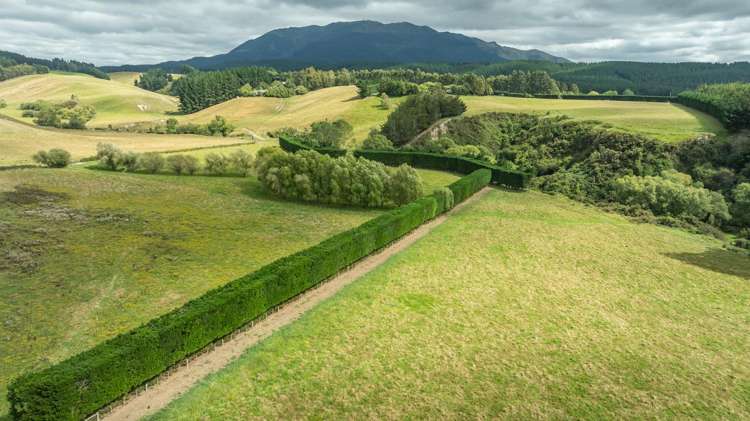 421 Cramptons Bush Road Broomfield_6