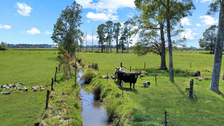 97f Poplar Lane Edgecumbe_14