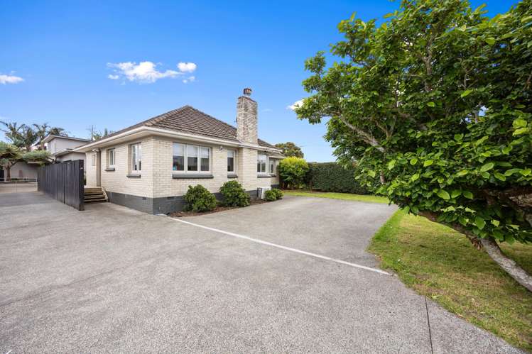 41 Riversdale Road Avondale_13