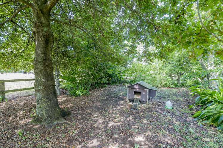 248 Kuku East Road Kuku_22