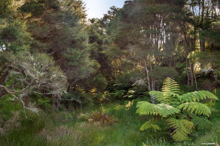 67a Esk Road Miranda_23