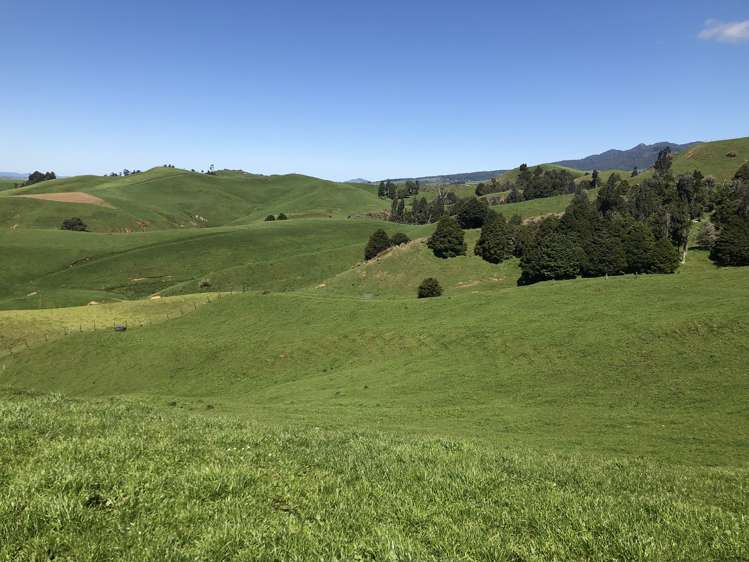 1026 Limeworks Loop Road Karamu_13