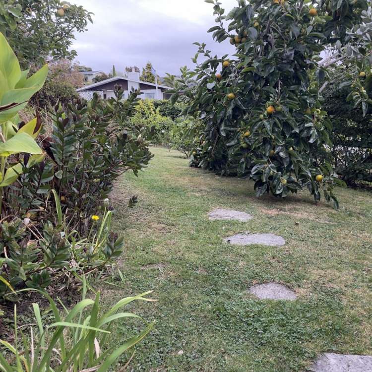 25 Churchill Avenue Richmond_30