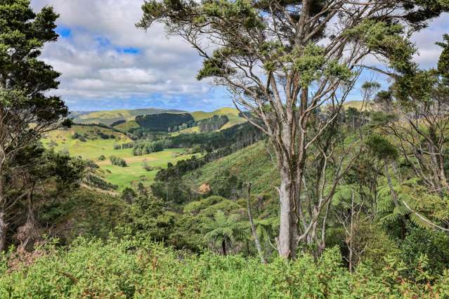 419 Kemp Road Awhitu_3