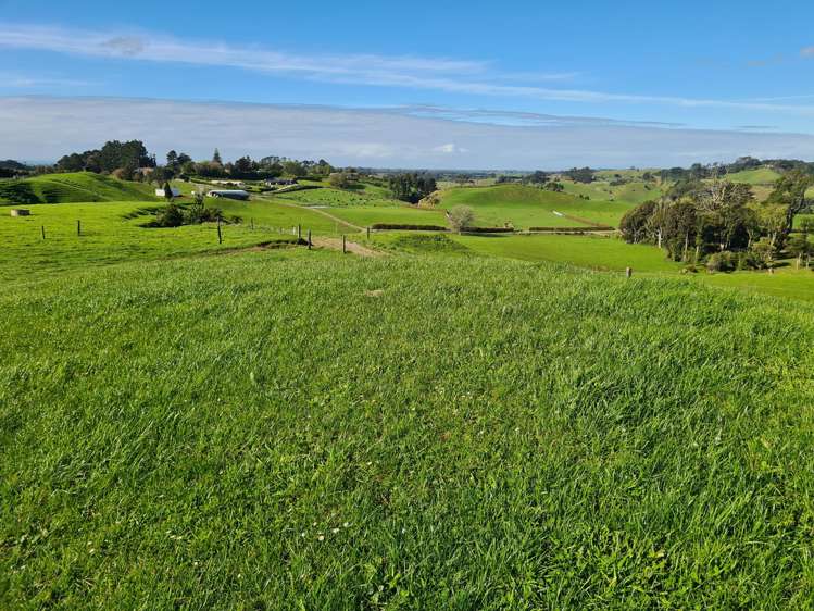 801 Mangorei Road Mangorei_5