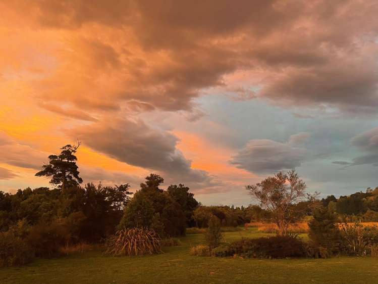 652A Te Whiti Road Te Whiti_27