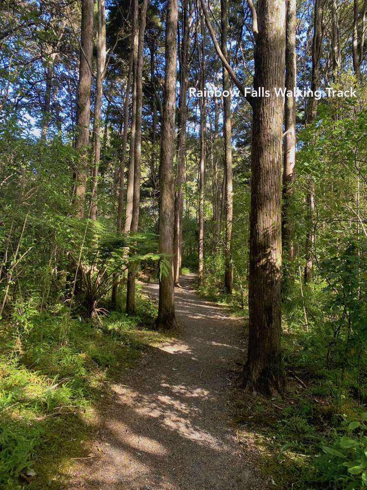 373 Kerikeri Road Kerikeri_5