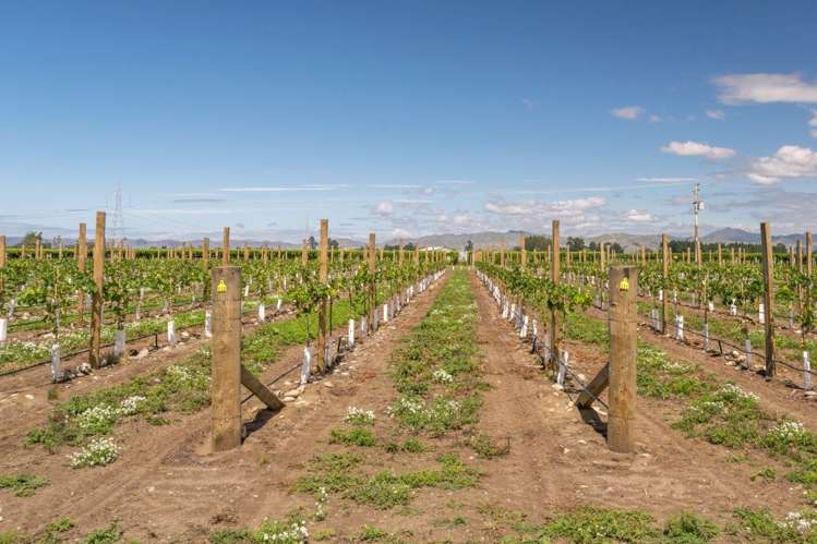 101 Flaxmill Drive Rarangi_24