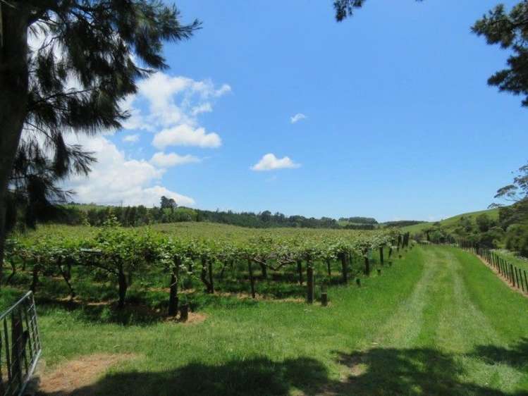 358b Lockington Road Aongatete_6