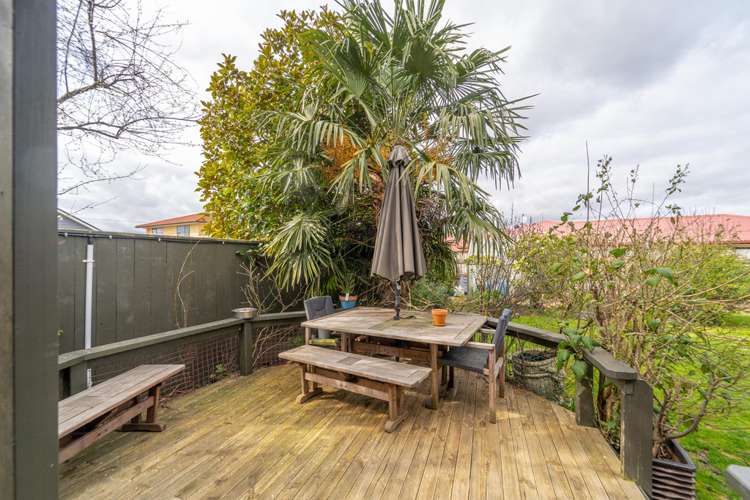 41a Cole Street Masterton_16