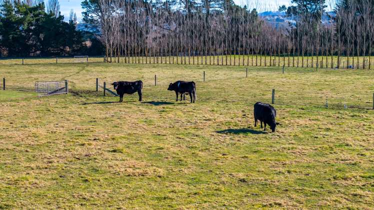 2185 Arundel Rakaia Gorge Road Mayfield_28