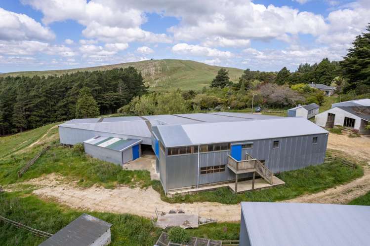 559 Korora Road Pongaroa_21