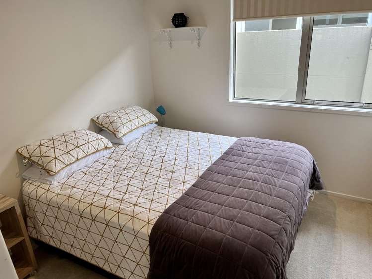 9 Borneo Boulevard Kerikeri_6