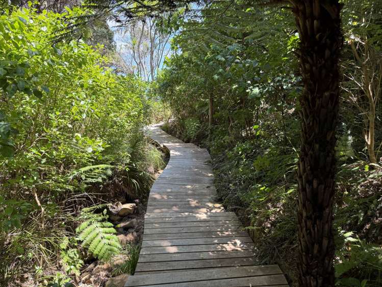 403 Shoal Bay Road Great Barrier Island_18