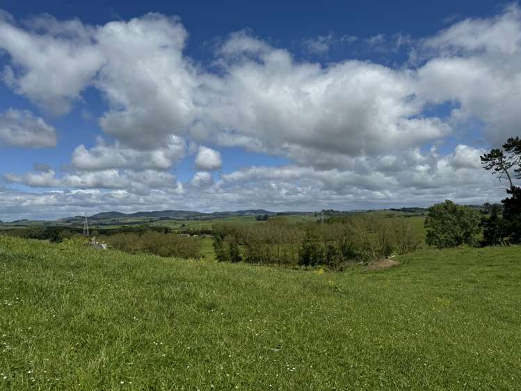 Hetherington Road and Waikokowai Roads Huntly_7