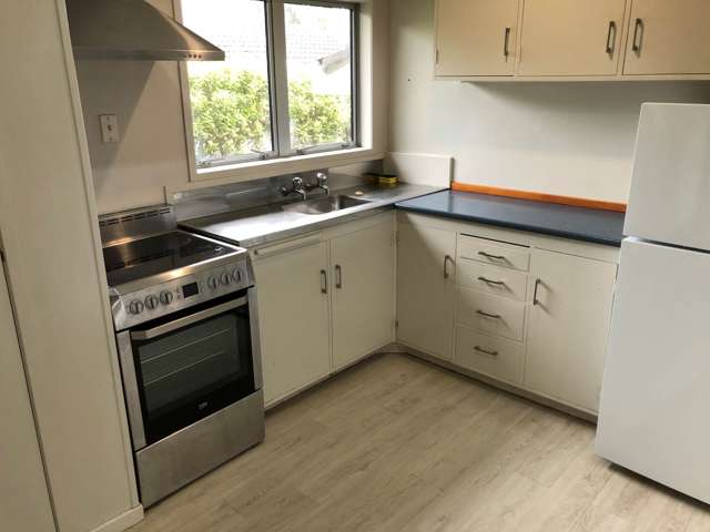 3/118 Ladies Mile Ellerslie_4