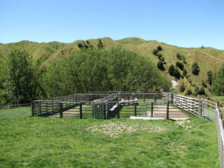 1168 Manui Road Mangaweka_7