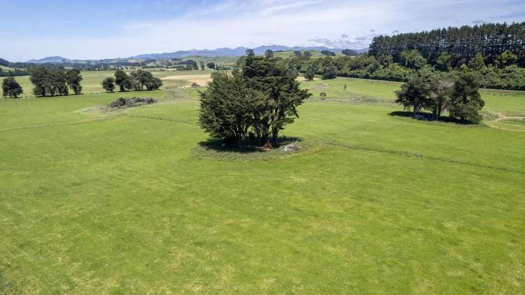 83385 State Highway 2 Eketahuna_10