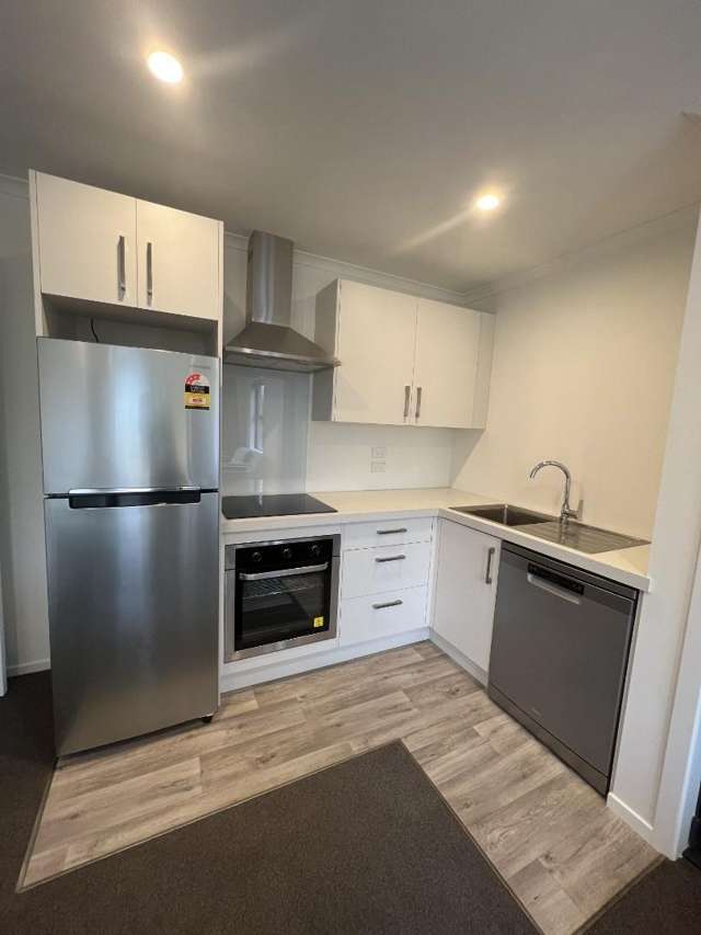  1/54 Pembroke Street Hamilton East_3