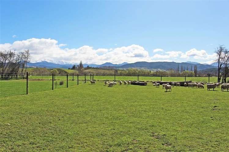 1105 Dovedale Road Dovedale_1