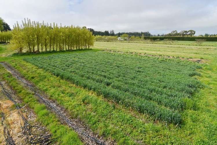 407 Pesters Road West Eyreton_15