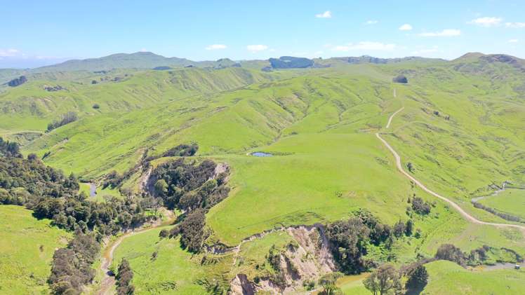 207 Mangatuna Road Weber_13