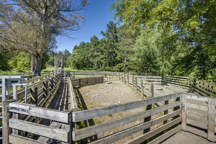 2412 Kahuranaki Road Elsthorpe_4