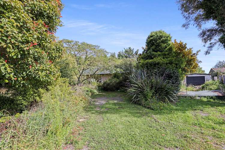 6 Rogers Street Hinds_40