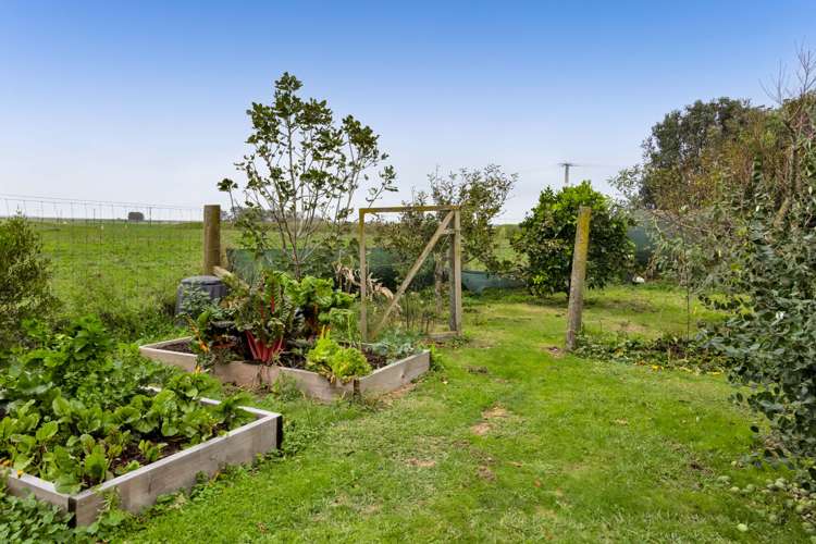 1170 A South Road Manaia_34