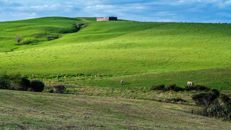 989E Kaiwaka-Mangawhai Road Mangawhai_8