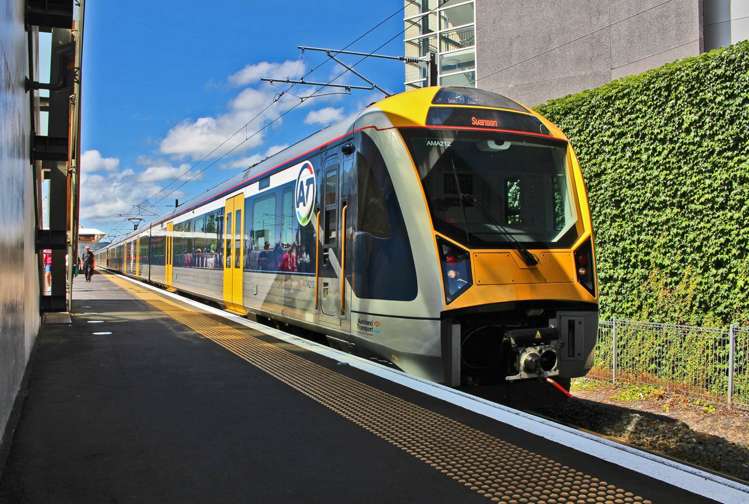 5 Wilsher Crescent Henderson_8