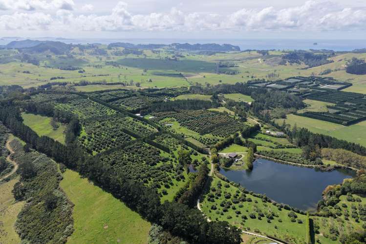 121C Purangi Road Whenuakite_16