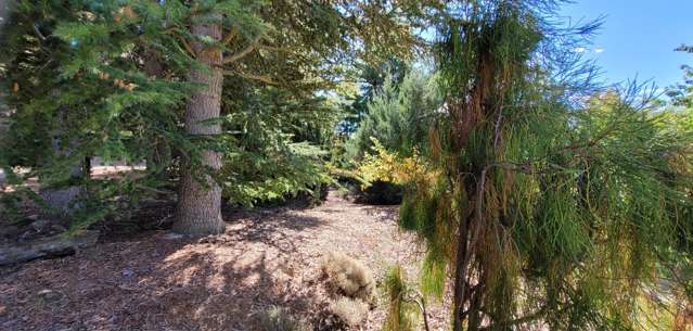 436A Bannockburn Road Cromwell_4