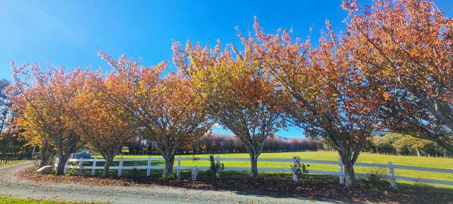 45 Bryant Road Brightwater_2