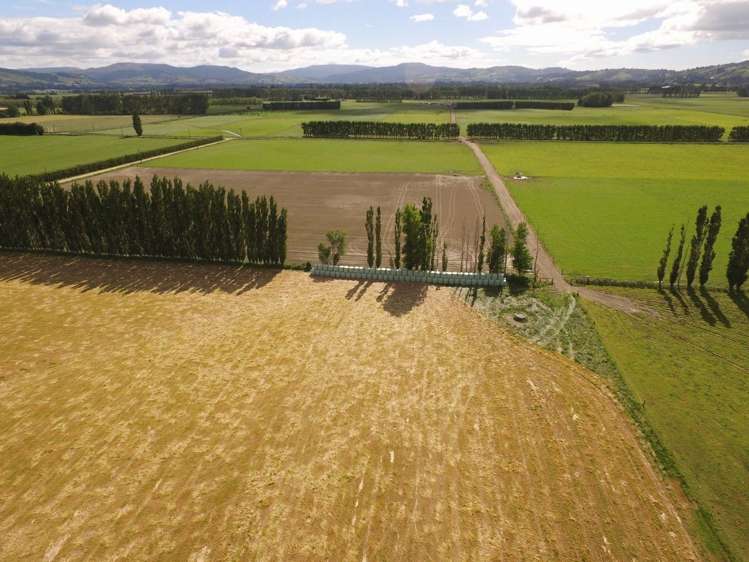 510 Gladstone Road South Allanton_5