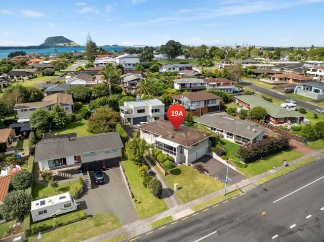 19a Tilby Drive Matua_3