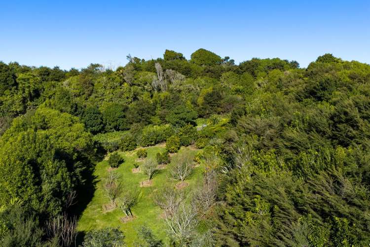 666 Te Hutewai Road Raglan_62