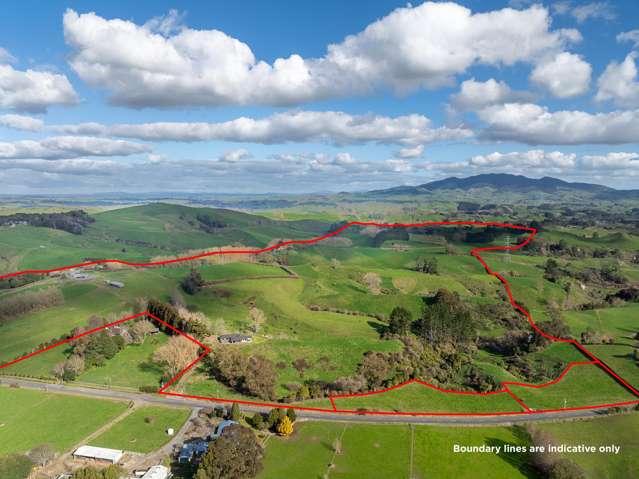 Dairy, support or beef options