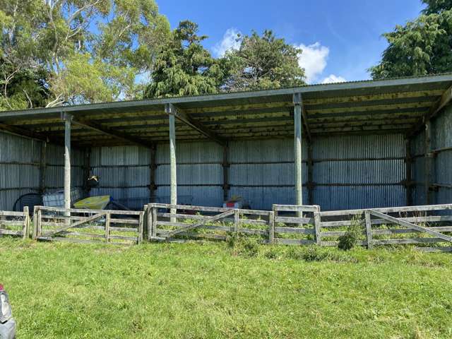 55 BEATTY ROAD Dannevirke_2