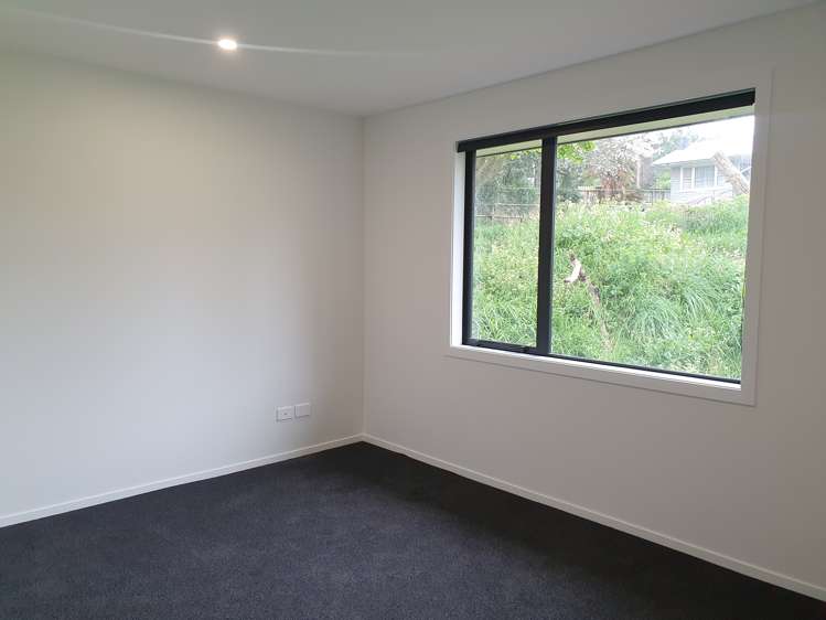 22a Carey Street Kihikihi_6