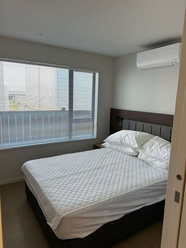 289 Mount Albert Road Wesley_3