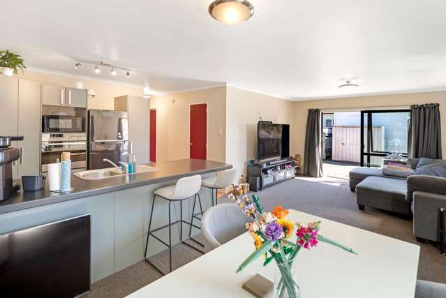 11 and 11a Rangiora Ave Roslyn_4