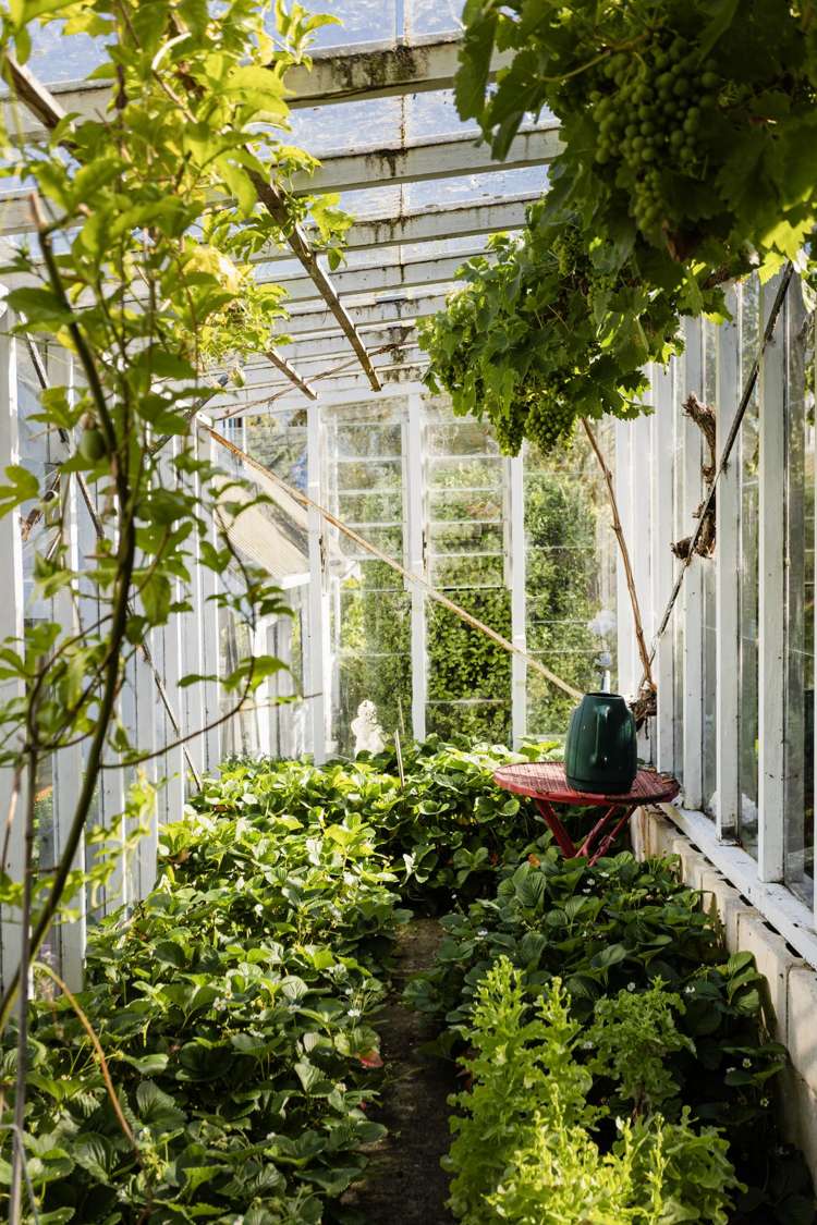 4 District Road Roseneath_30