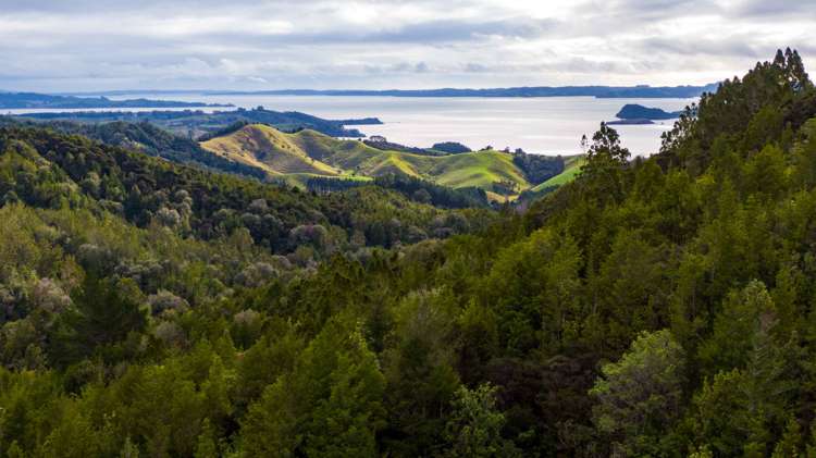 322 Kawakawa-Orere Road Kawakawa Bay_6