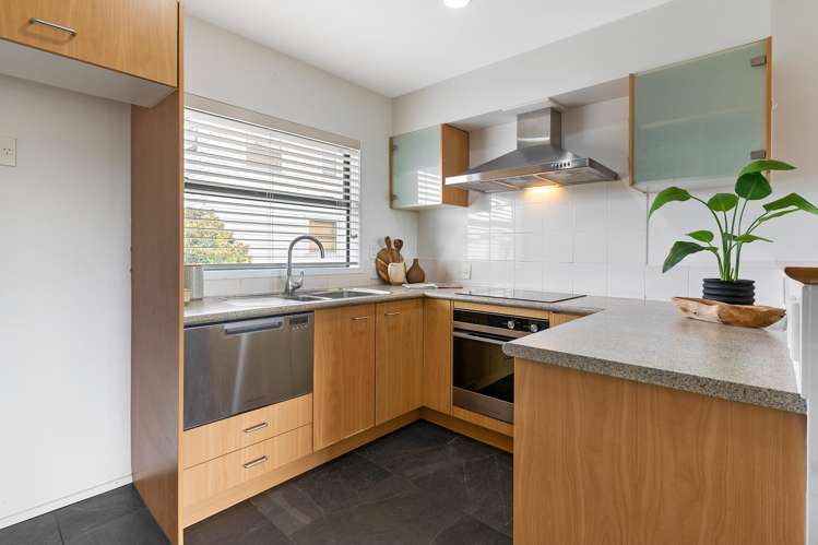 3D Laxon Terrace Remuera_14