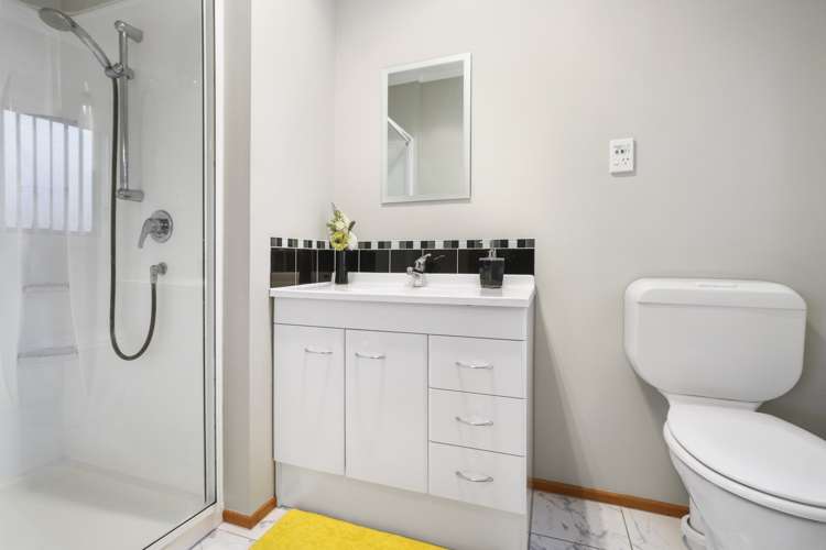 244 Te Atatu Road Te Atatu South_12