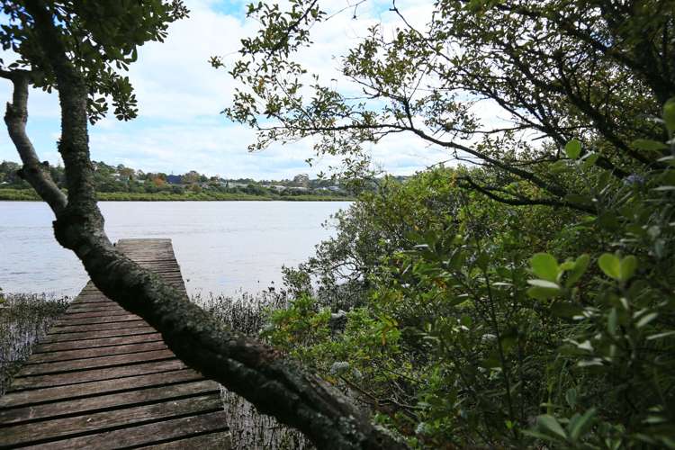 40 Abbotleigh Avenue Te Atatu Peninsula_18